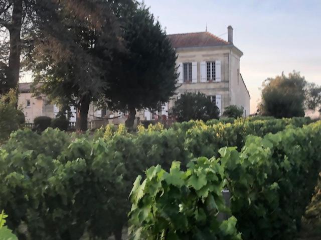 Chateau Couchebout Bed & Breakfast Pugnac Dış mekan fotoğraf